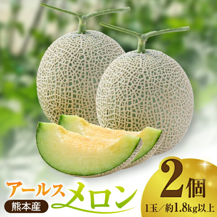 【先行予約】年内発送 クリスマスメロン セット【株式会社 前田ファーム】[ZCM004] メロン 旬 フルーツ 果物 くだもの アールスメロン めろん ブランド 人気 鮮度 高級 種類 甘さ フレッシュ 箱入り 産地直送 糖度 おすすめ 熊本県 山鹿