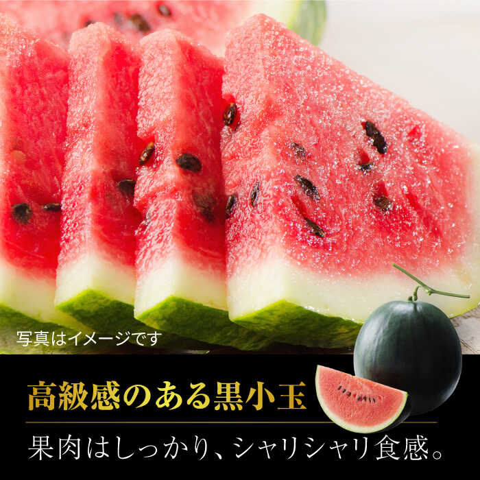 【ふるさと納税】【先行予約】黒小玉スイカ 2玉 2Lサイズ 【株式会社 前田ファーム】[ZCM009] 旬 果物 くだもの フルーツ スイカ 西瓜 小玉 人気 季節物 新鮮 産地直送 甘い 黒い 糖度 おすすめ フレッシュ 地域 特産 期間限定 評判 種類 サイズ 熊本県 山鹿 サムネイル2