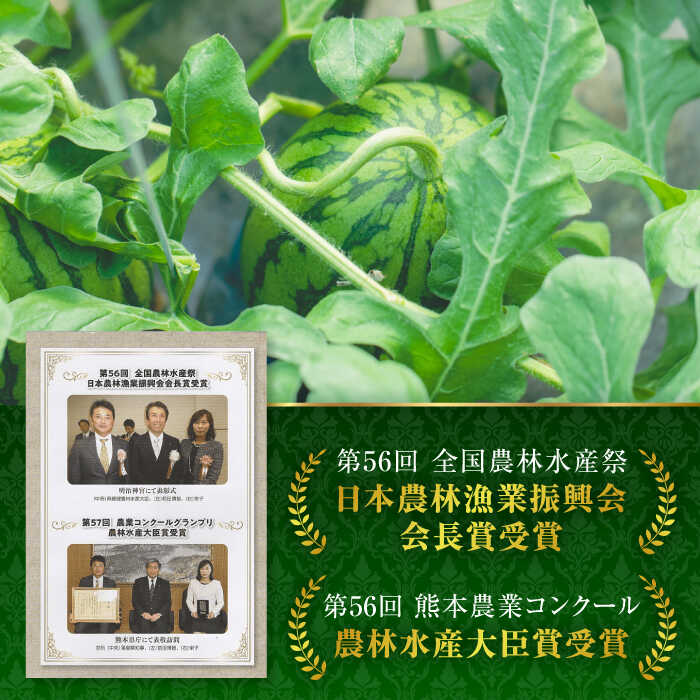 【ふるさと納税】【先行予約】黒小玉スイカ 2玉 2Lサイズ 【株式会社 前田ファーム】[ZCM009] 旬 果物 くだもの フルーツ スイカ 西瓜 小玉 人気 季節物 新鮮 産地直送 甘い 黒い 糖度 おすすめ フレッシュ 地域 特産 期間限定 評判 種類 サイズ 熊本県 山鹿 サムネイル3