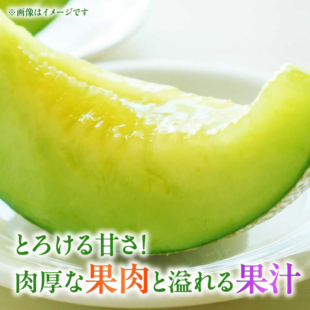 【ふるさと納税】【先行予約】 肥後グリーン メロン 2玉 メロン くだもの ブランド 人気 鮮度 高級 種類 甘さ 甘み フレッシュ ジューシー 甘み 大きい 産地直送 糖度 おすすめ 高評価 リピーター レビュー 季節物 新鮮 熊本 山鹿市【合同会社 福福堂】[ZCN003] - 画像2