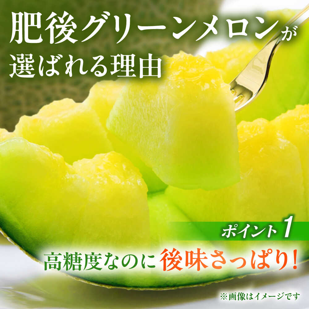 【ふるさと納税】【先行予約】 肥後グリーン メロン 2玉 メロン くだもの ブランド 人気 鮮度 高級 種類 甘さ 甘み フレッシュ ジューシー 甘み 大きい 産地直送 糖度 おすすめ 高評価 リピーター レビュー 季節物 新鮮 熊本 山鹿市【合同会社 福福堂】[ZCN003] - 画像3