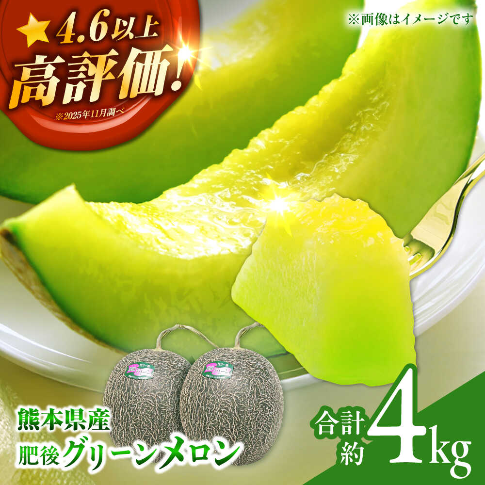 【先行予約】 肥後グリーン メロン 2玉 メロン くだもの ブランド 人気 鮮度 高級 種類 甘さ 甘み フレッシュ ジューシー 甘み 大きい 産地直送 糖度 おすすめ 高評価 リピーター レビュー 季節物 新鮮 熊本 山鹿市【合同会社 福福堂】[ZCN003]