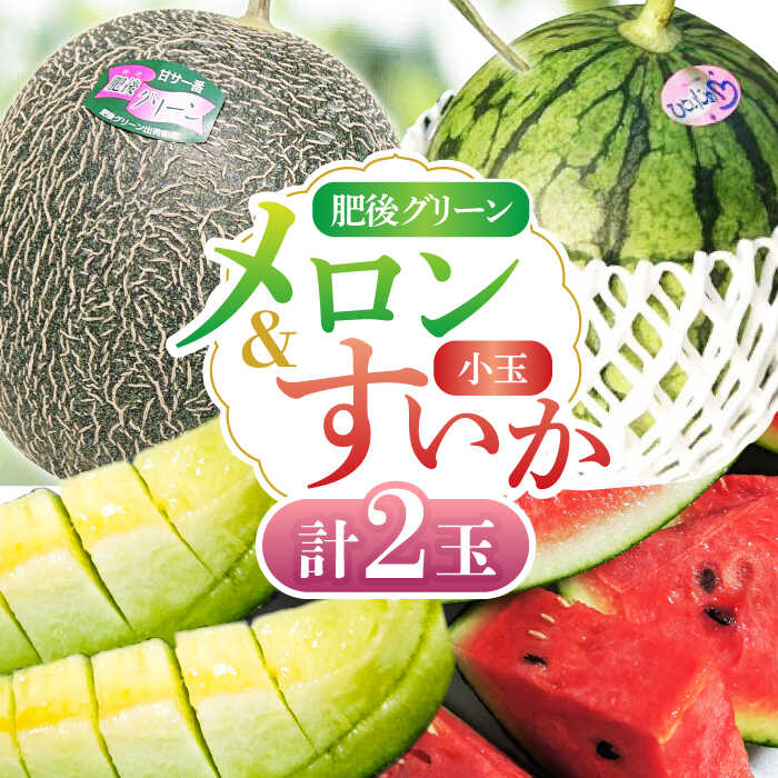 【先行予約】 肥後グリーン メロン 1玉＆小玉 すいか 1玉 くだもの ブランド 鮮度 高級 種類 甘さ ジューシー 肥後 グリーン 青肉 産地直送 糖度 おすすめ 高評価 リピーター レビュー 季節物 新鮮 熊本 山鹿市【合同会社 福福堂】[ZCN004]