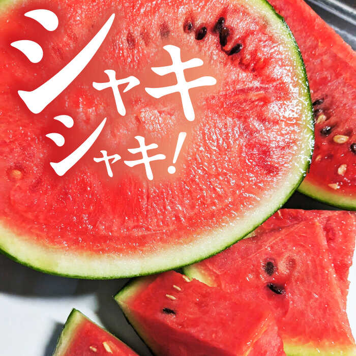 【ふるさと納税】【先行予約】 小玉 すいか 2玉 スイカ 西瓜 くだもの 人気 季節物 新鮮 産地直送 糖度 おすすめ フレッシュ ジューシー 果肉 高級感 高品質 特産 評判 高評価 贈答用 リピーター 種類 山鹿市 くまもと 熊本県産【合同会社 福福堂】[ZCN005] サムネイル2