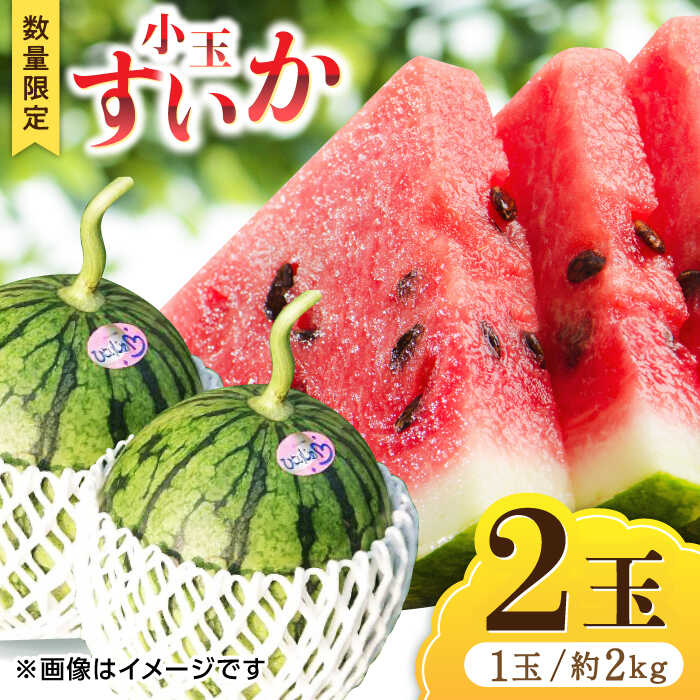 【先行予約】 小玉 すいか 2玉 スイカ 西瓜 くだもの 人気 季節物 新鮮 産地直送 糖度 おすすめ フレッシュ ジューシー 果肉 高級感 高品質 特産 評判 高評価 贈答用 リピーター 種類 山鹿市 くまもと 熊本県産【合同会社 福福堂】[ZCN005]