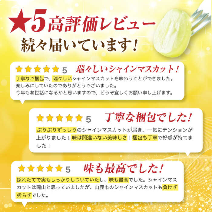 【ふるさと納税】【先行予約】シャインマスカット 約1.2kg 2〜3房 ぶどう 種なし 旬 おすすめ ジューシー 食感 皮ごと まるごと 食べられる 新鮮 高糖度 美しい 甘い おいしい レビュー 評価 高評価 人気 ランキング 国産 山鹿市【合同会社 福福堂】[ZCN006] - 画像3
