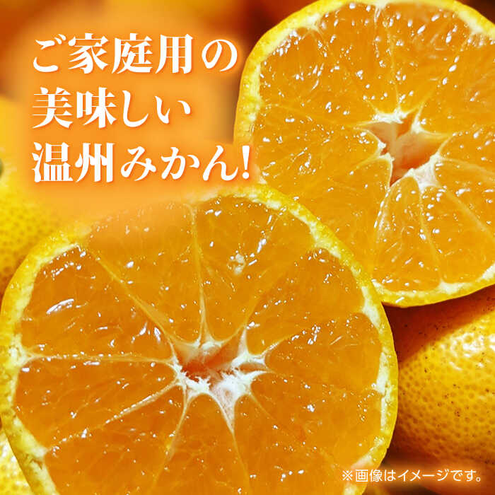 【ふるさと納税】【先行予約】【訳あり】家庭用 温州 みかん 約4.5kg〜5kg【合同会社 福福堂】[ZCN014] くだもの 季節物 季節 新鮮 産地直送 蜜柑 うんしゅう ウンシュウ 産地 柑橘 かんきつ カンキツ 熊本県産 くまもと 山鹿 おすすめ 人気 甘味 フレッシュ サムネイル2