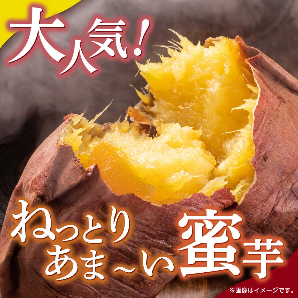 【ふるさと納税】選べる容量！蔵出し 熟成 紅はるか さつまいも 約5kg サイズバラバラ 密 芋 【合同会社 福福堂】[ZCN017] イモ さつま芋 サツマ芋 薩摩芋 蜜芋 お芋 サイズ 大 小 5キロ 人気 名産 ねっとり 甘い 甘味 糖化 甘藷 唐芋 保存 国産 - 画像2