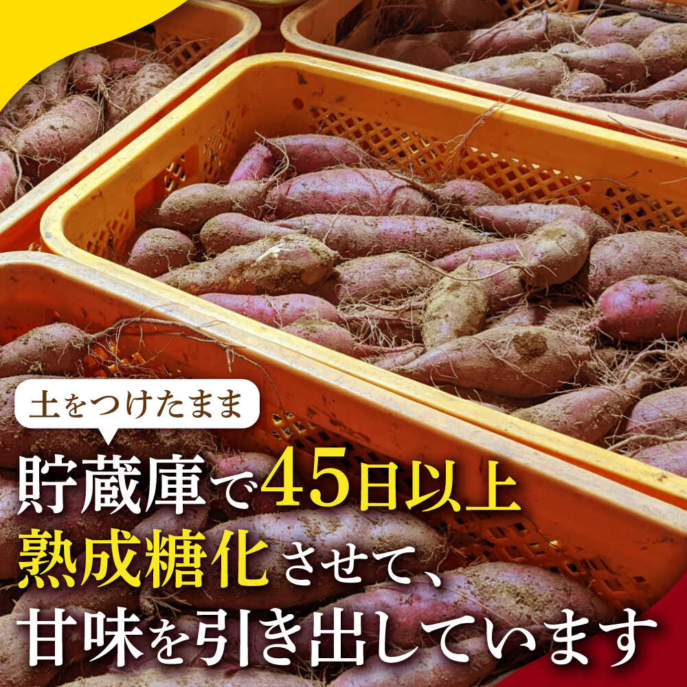 【ふるさと納税】選べる容量！蔵出し 熟成 紅はるか さつまいも 約5kg サイズバラバラ 密 芋 【合同会社 福福堂】[ZCN017] イモ さつま芋 サツマ芋 薩摩芋 蜜芋 お芋 サイズ 大 小 5キロ 人気 名産 ねっとり 甘い 甘味 糖化 甘藷 唐芋 保存 国産 - 画像3
