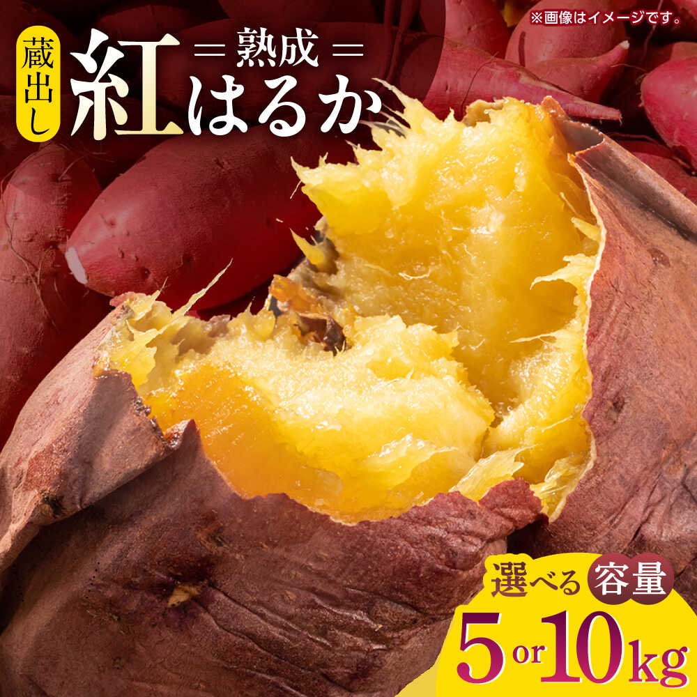 選べる容量！蔵出し 熟成 紅はるか さつまいも 約5kg サイズバラバラ 密 芋 【合同会社 福福堂】[ZCN017] イモ さつま芋 サツマ芋 薩摩芋 蜜芋 お芋 サイズ 大 小 5キロ 人気 名産 ねっとり 甘い 甘味 糖化 甘藷 唐芋 保存 国産