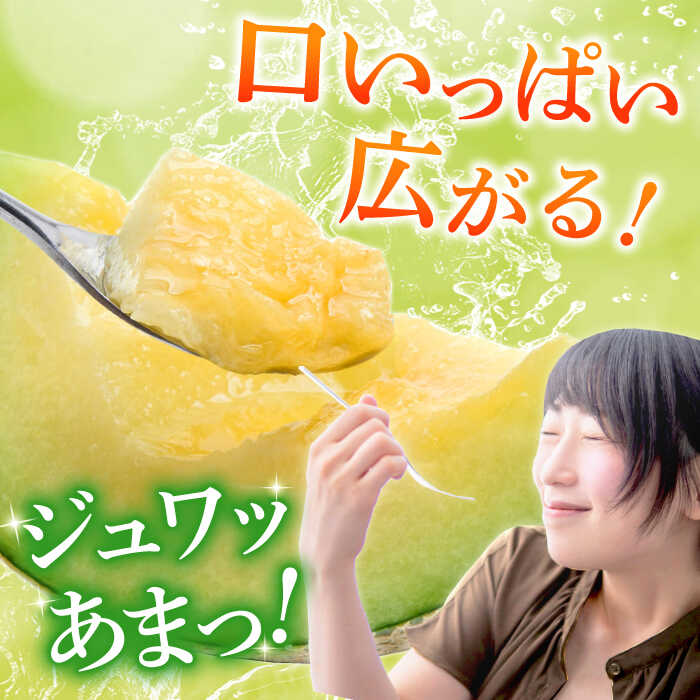 【ふるさと納税】【数量限定】【先行予約】アールスメロン 約4kg〜5kg（4L〜5L）2玉入【道の駅 水辺プラザかもと】[ZEG001] サムネイル2