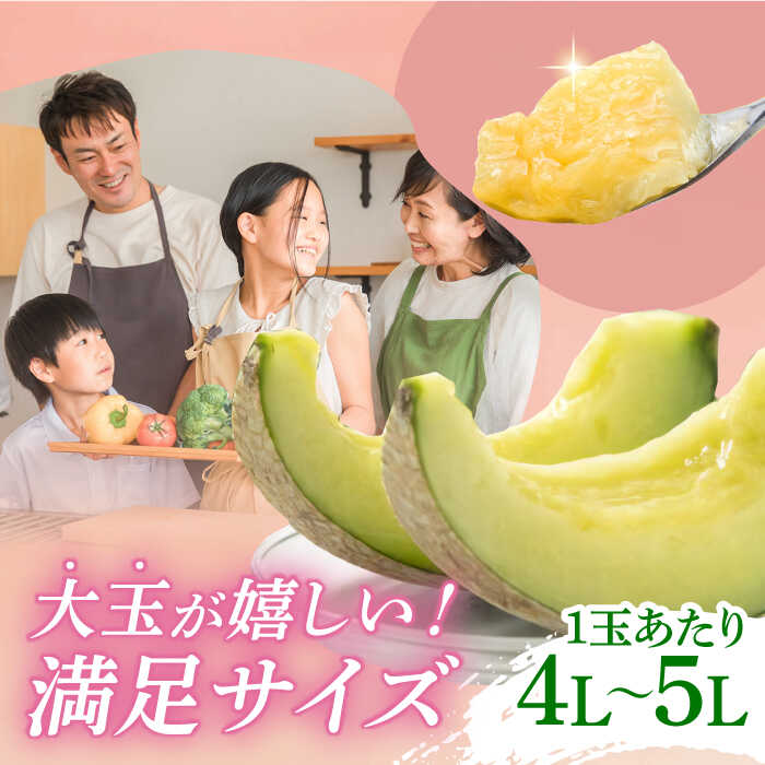 【ふるさと納税】【数量限定】【先行予約】アールスメロン 約4kg〜5kg（4L〜5L）2玉入【道の駅 水辺プラザかもと】[ZEG001] サムネイル3