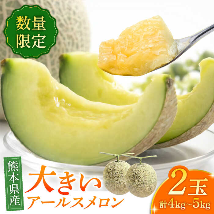 【数量限定】【先行予約】アールスメロン 約4kg〜5kg（4L〜5L）2玉入【道の駅 水辺プラザかもと】[ZEG001]
