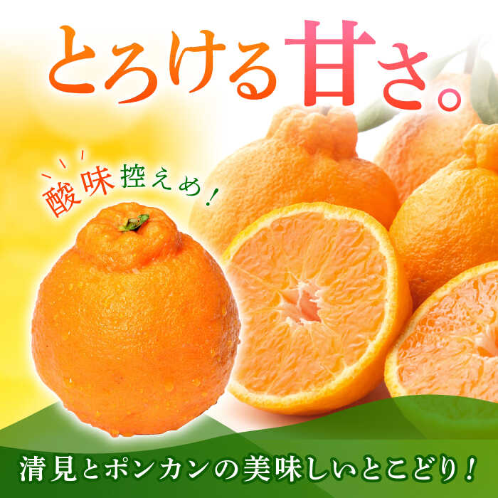 【ふるさと納税】【先行予約】不知火 みかん 約3kg〜4kg 果物 化粧箱入り 贈答用【道の駅 水辺プラザかもと】[ZEG003] サムネイル2