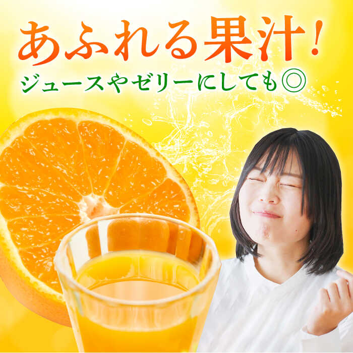 【ふるさと納税】【先行予約】不知火 みかん 約3kg〜4kg 果物 化粧箱入り 贈答用【道の駅 水辺プラザかもと】[ZEG003] サムネイル3