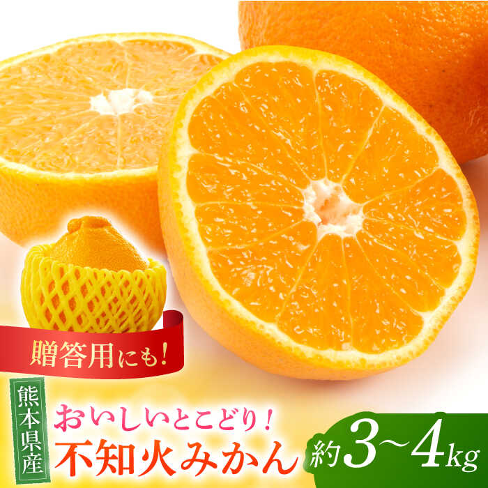 【先行予約】不知火 みかん 約3kg〜4kg 果物 化粧箱入り 贈答用【道の駅 水辺プラザかもと】[ZEG003]