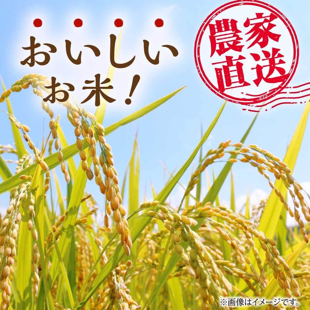 【ふるさと納税】〈令和7年度産米〉ヒノヒカリ 白米 10kg （5kg×2袋）【竹下農園】[ZEL001] 白米 米 おすすめ 人気 ランキング ブランド 量 口コミ 評判 ひのひかり 名水 百選 国産 九州 熊本県 山鹿 コスパ こめ ご飯 ごはん ライス お取り寄せ 事業者応援 特産品 - 画像2