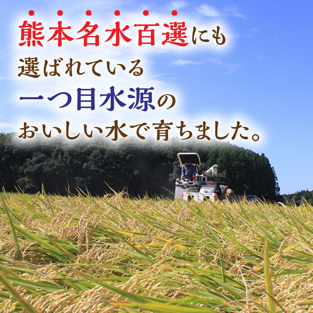 【ふるさと納税】〈令和7年度産米〉ヒノヒカリ 白米 10kg （5kg×2袋）【竹下農園】[ZEL001] 白米 米 おすすめ 人気 ランキング ブランド 量 口コミ 評判 ひのひかり 名水 百選 国産 九州 熊本県 山鹿 コスパ こめ ご飯 ごはん ライス お取り寄せ 事業者応援 特産品 - 画像3