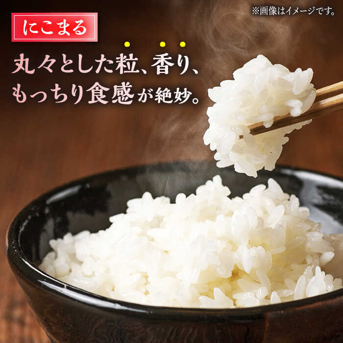 【ふるさと納税】〈令和7年度産米〉ヒノヒカリ・にこまる 白米 食べ比べ 計10kg（5kg×2袋）【竹下農園】[ZEL003] 白米 米 おすすめ 人気 ランキング ブランド 量 口コミ 評判 名水 百選 国産 九州 熊本県 山鹿 ひのひかり コスパ ごはん 事業者応援 特産品 返礼品 送料無料 - 画像3