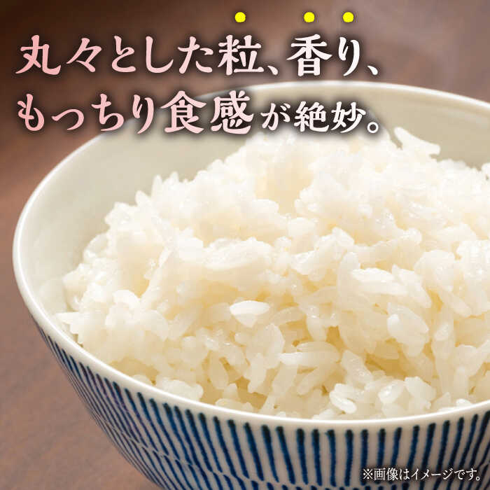 【ふるさと納税】にこまる 白米 計10kg（5kg×2袋）【竹下農園】[ZEL004] 白米 米 おすすめ 人気 ランキング ブランド 量 口コミ 評判 名水 百選 国産 九州 熊本県 山鹿 コスパ 米 こめ ご飯 ごはん ライス お取り寄せ 事業者応援 特産品 返礼品 送料無料 - 画像2