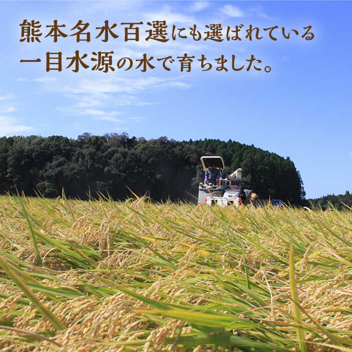 【ふるさと納税】にこまる 白米 計10kg（5kg×2袋）【竹下農園】[ZEL004] 白米 米 おすすめ 人気 ランキング ブランド 量 口コミ 評判 名水 百選 国産 九州 熊本県 山鹿 コスパ 米 こめ ご飯 ごはん ライス お取り寄せ 事業者応援 特産品 返礼品 送料無料 - 画像3