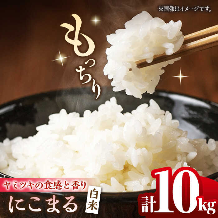にこまる 白米 計10kg（5kg×2袋）【竹下農園】[ZEL004] 白米 米 おすすめ 人気 ランキング ブランド 量 口コミ 評判 名水 百選 国産 九州 熊本県 山鹿 コスパ 米 こめ ご飯 ごはん ライス お取り寄せ 事業者応援 特産品 返礼品 送料無料