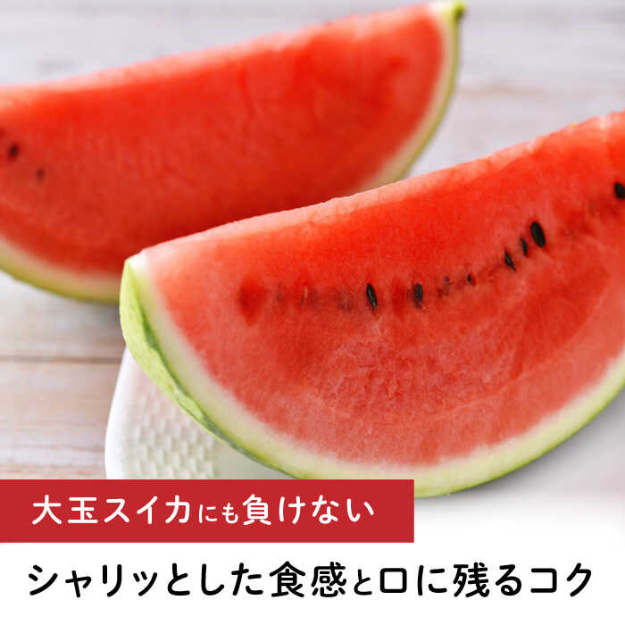 【ふるさと納税】【先行予約】ひとりじめBonBonリッチ〜黒皮小玉 スイカ 2玉〜 熊本県産 すいか 西瓜 スイカ 小玉 熊本県 名産 黒 ブラック 果物 フルーツ 旬 甘い ひとりじめ シャリシャリ 送料無料 山鹿市 【とみおか農園】[ZEM002] サムネイル2