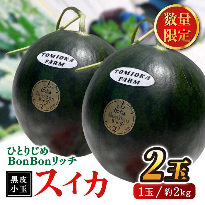【先行予約】ひとりじめBonBonリッチ〜黒皮小玉 スイカ 2玉〜 熊本県産 すいか 西瓜 スイカ 小玉 熊本県 名産 黒 ブラック 果物 フルーツ 旬 甘い ひとりじめ シャリシャリ 送料無料 山鹿市 【とみおか農園】[ZEM002]