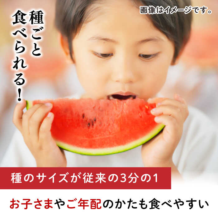 【ふるさと納税】【先行予約】種ごと 食べられる 小玉スイカ 2玉 ピノガール 熊本県産 すいか 西瓜 スイカ 小玉 熊本県 名産 果物 フルーツ 旬 甘い シャリシャリ とれたて 新鮮 送料無料 山鹿市【とみおか農園】[ZEM003] サムネイル2