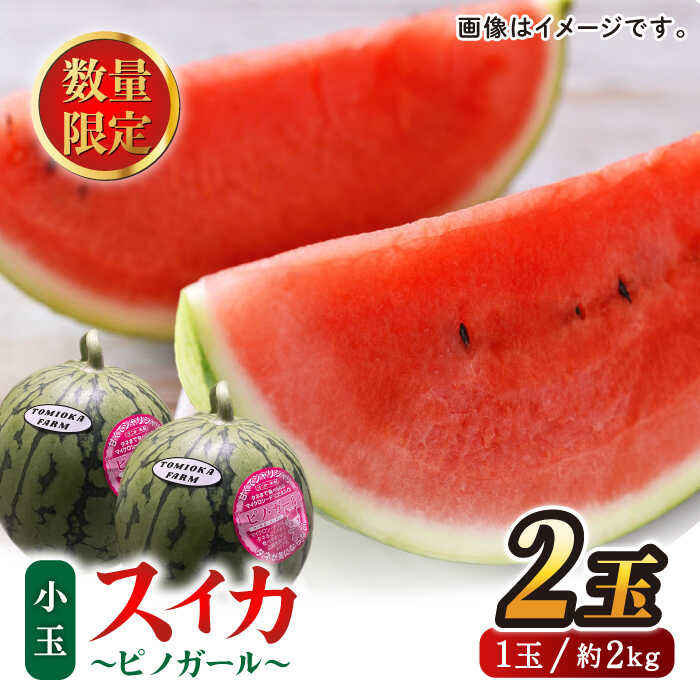 【先行予約】種ごと 食べられる 小玉スイカ 2玉 ピノガール 熊本県産 すいか 西瓜 スイカ 小玉 熊本県 名産 果物 フルーツ 旬 甘い シャリシャリ とれたて 新鮮 送料無料 山鹿市【とみおか農園】[ZEM003]