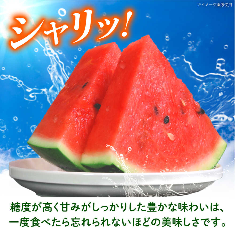 【ふるさと納税】【先行予約】 大玉スイカ 約7kg以上（1玉） 【とみおか農園】[ZEM004] サムネイル2