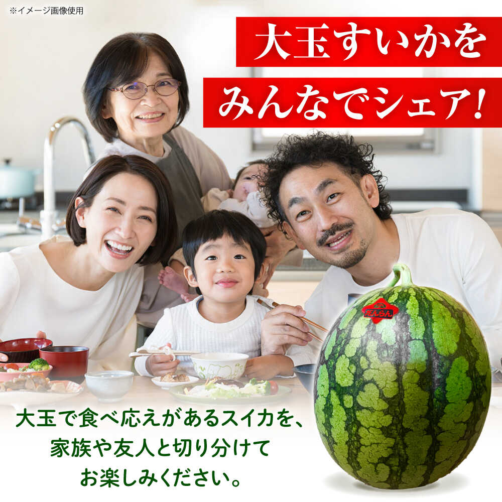 【ふるさと納税】【先行予約】 大玉スイカ 約7kg以上（1玉） 【とみおか農園】[ZEM004] サムネイル3