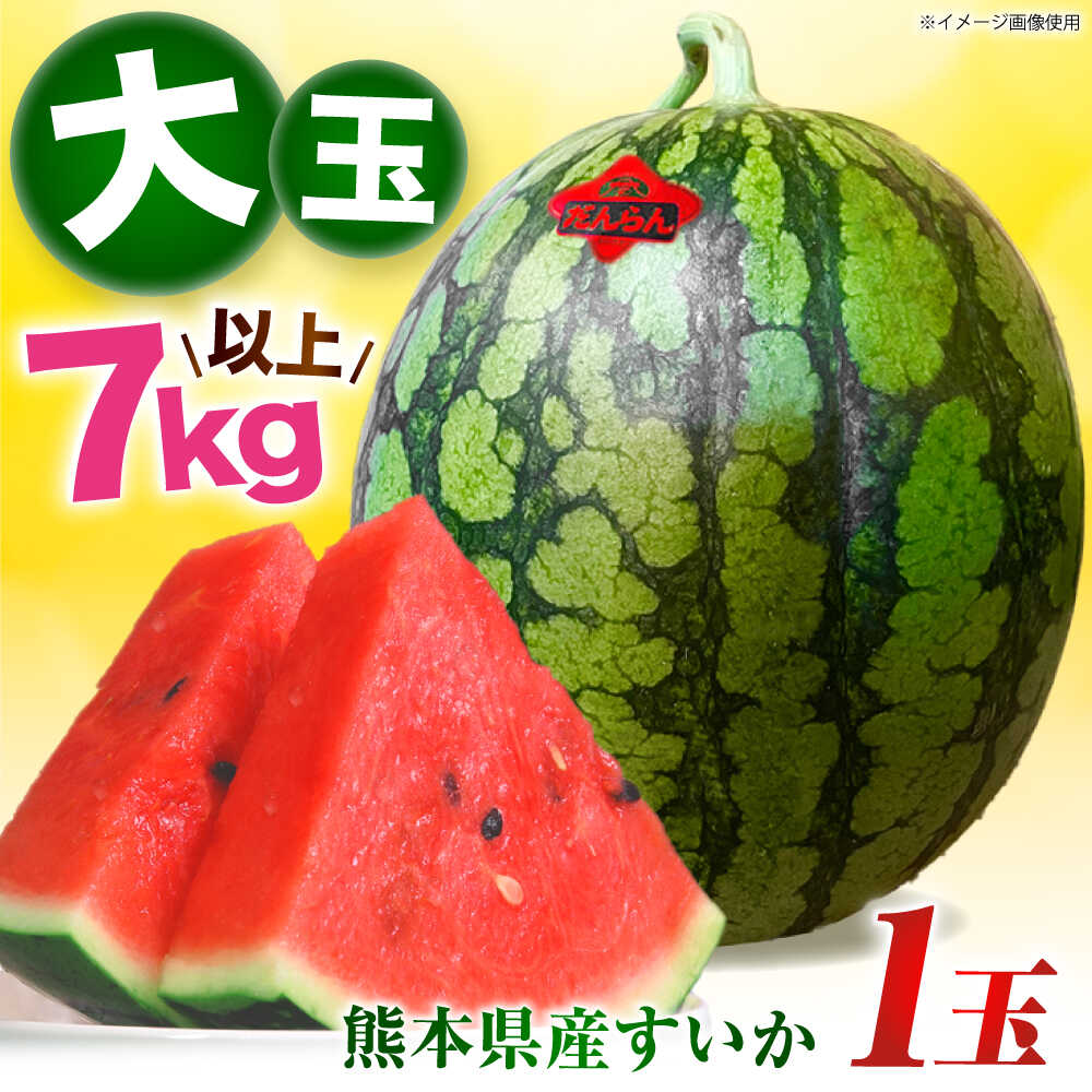 【先行予約】 大玉スイカ 約7kg以上（1玉） 【とみおか農園】[ZEM004]