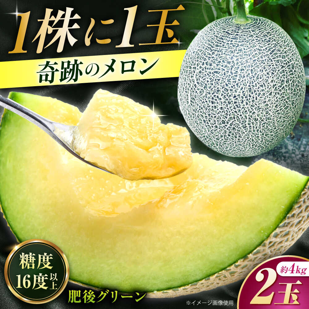 【先行予約】 肥後グリーン メロン 約4kg（2玉） 【とみおか農園】[ZEM006]