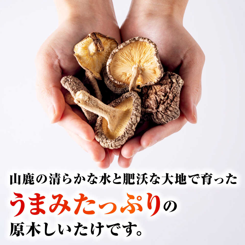 【ふるさと納税】原木 干ししいたけ 小袋280g（70g×4袋） 【すみれファーム】[ZEP068] - 画像3