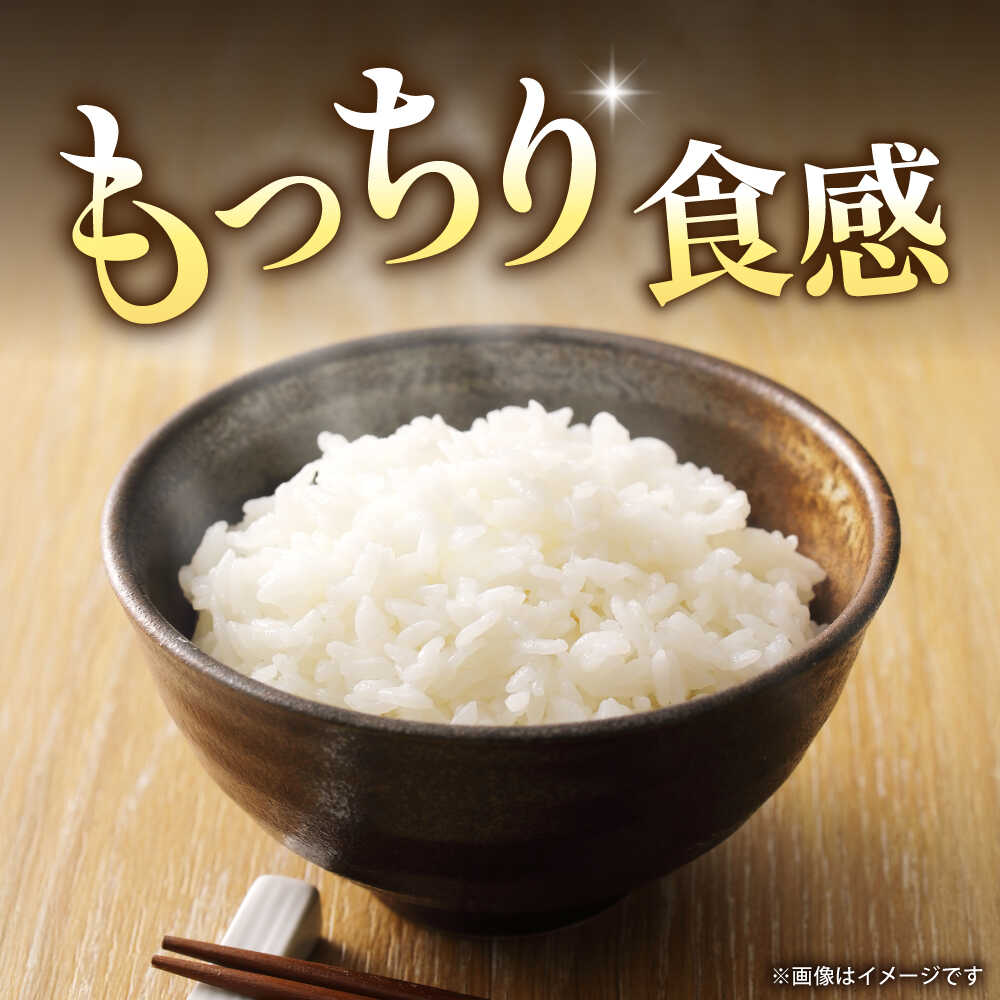 【ふるさと納税】〈令和8年度産米〉【先行予約】熊本県産 お米 森のくまさん 5kg 【すみれファーム】[ZEP072] 令和7年 - 画像3