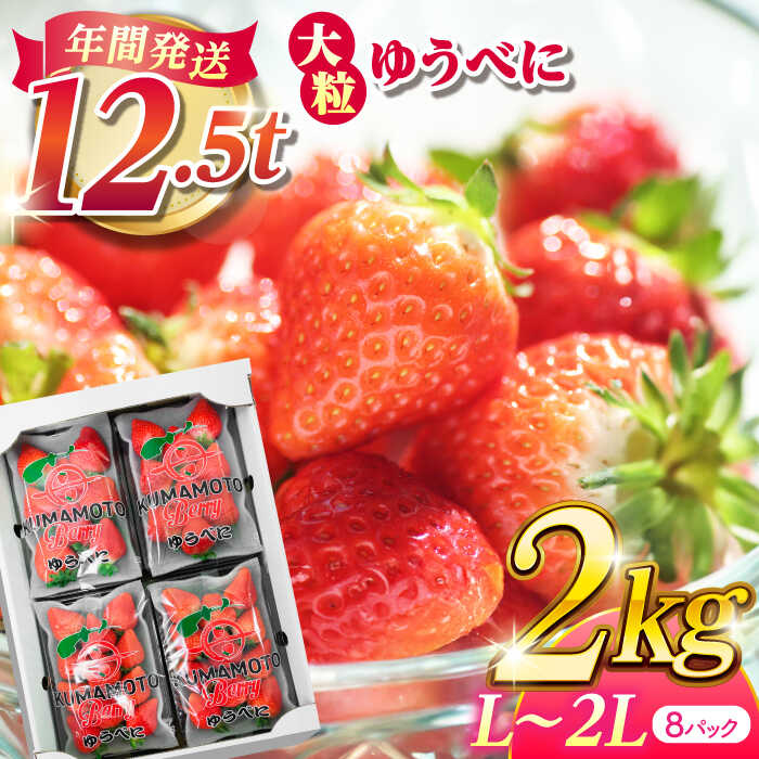 大粒いちご L〜2L ゆうべに 2kg（8pc）【熊本ベリー】[ZER002] イチゴ 苺 ストロベリー 旬 評判 レビュー 完熟 フレッシュ 国産 熊本県産 山鹿 果物 くだもの フルーツ 人気 小分け 季節 産地直送 特産 ブランド おすすめ 期間限定 送料無料