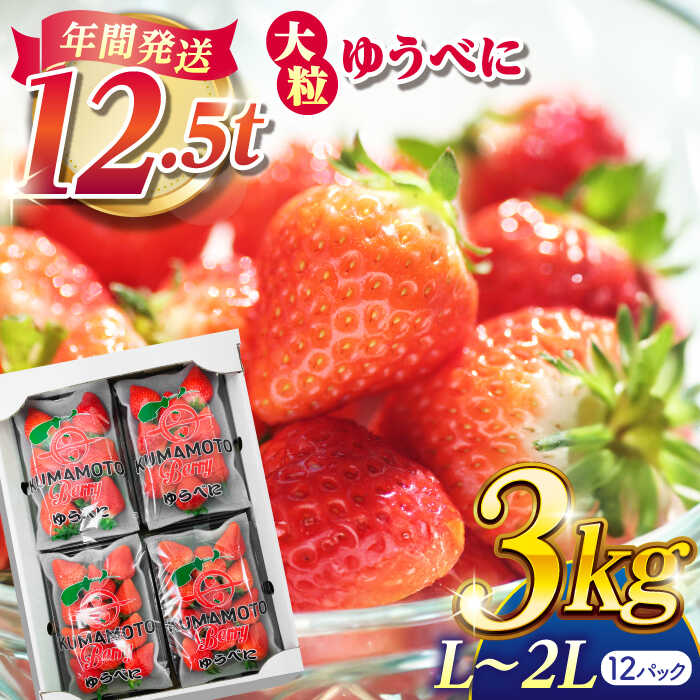 大粒いちご L〜2L ゆうべに 3kg（12pc）【熊本ベリー】[ZER003] イチゴ 苺 ストロベリー 旬 評判 レビュー 完熟 フレッシュ 国産 熊本県産 山鹿 果物 くだもの フルーツ 人気 小分け 季節 産地直送 特産 ブランド おすすめ 期間限定 送料無料