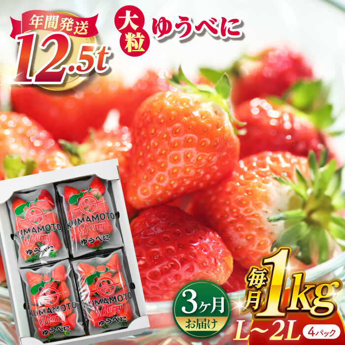 【先行予約】【3回定期便】大粒いちご L〜2L ゆうべに 1kg（4pc）【熊本ベリー】[ZER004] イチゴ 苺 ストロベリー 旬 評判 レビュー 完熟 フレッシュ 国産 熊本県産 山鹿 果物 くだもの フルーツ 人気 産地直送 特産 ブランド おすすめ 期間限定 送料無料