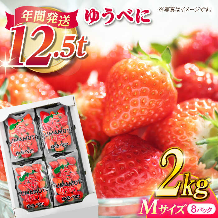 いちご Mサイズ ゆうべに 2kg（8pc）【熊本ベリー】[ZER008] イチゴ 苺 ストロベリー ギフト 産地 新鮮 旬 評判 レビュー 完熟 フレッシュ 国産 熊本県産 果物 くだもの フルーツ 人気 セット 季節 産地直送 地域 特産 ブランド おすすめ 期間限定 送料無料