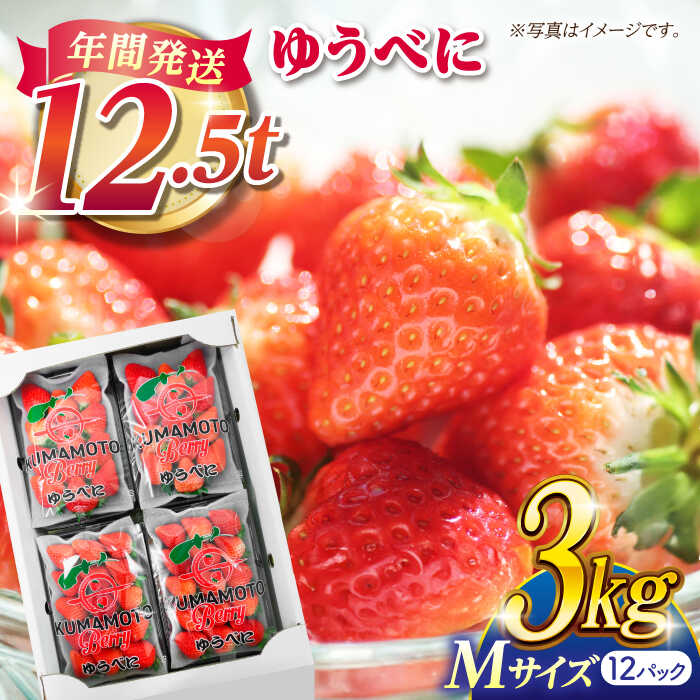 いちご Mサイズ ゆうべに 3kg（12pc）【熊本ベリー】[ZER009] イチゴ 苺 ストロベリー ギフト 産地 新鮮 旬 評判 レビュー 完熟フレッシュ 国産 熊本県産 果物 くだもの フルーツ 人気 セット 季節 産地直送 地域 特産 ブランド おすすめ 期間限定 送料無料