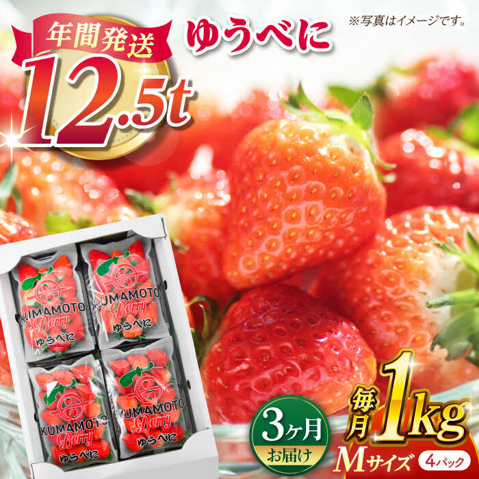 【先行予約】【3回定期便】いちご Mサイズ ゆうべに 1kg（4pc）【熊本ベリー】[ZER010] イチゴ 苺 ストロベリー ギフト 産地 新鮮 評判 完熟フレッシュ 国産 熊本県産 果物 くだもの フルーツ 人気 セット 季節 産地直送 特産 おすすめ 期間限定 送料無料
