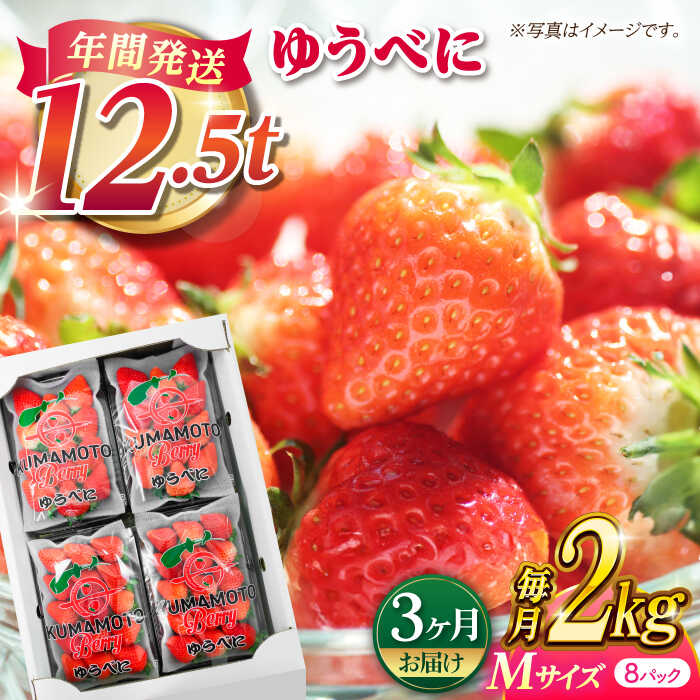 【先行予約】【3回定期便】いちご Mサイズ ゆうべに 2kg（8pc）【熊本ベリー】[ZER011] イチゴ 苺 ストロベリー ギフト 産地 新鮮 評判 完熟フレッシュ 国産 熊本県産 果物 くだもの フルーツ 人気 セット 季節 産地直送 特産 おすすめ 期間限定 送料無料