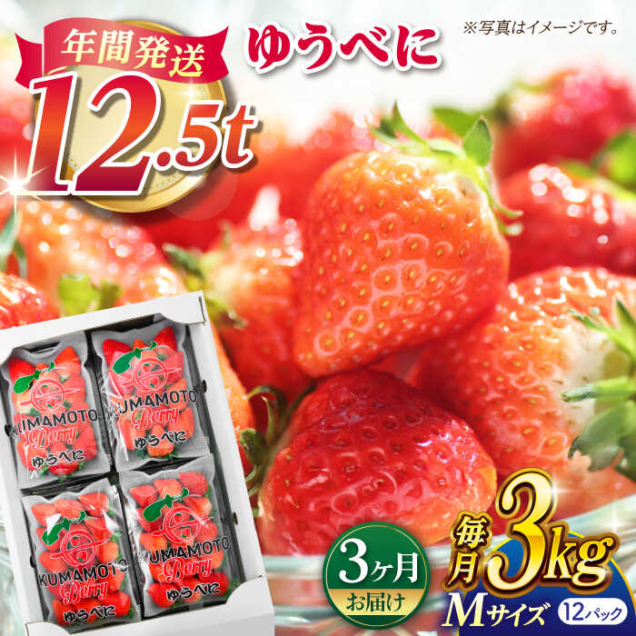【先行予約】【3回定期便】いちご Mサイズ ゆうべに 3kg（12pc）【熊本ベリー】[ZER012] イチゴ 苺 ストロベリー ギフト 産地 新鮮 評判 完熟フレッシュ 国産 熊本県産 果物 くだもの フルーツ 人気 セット 季節 産地直送 特産 おすすめ 期間限定 送料無料
