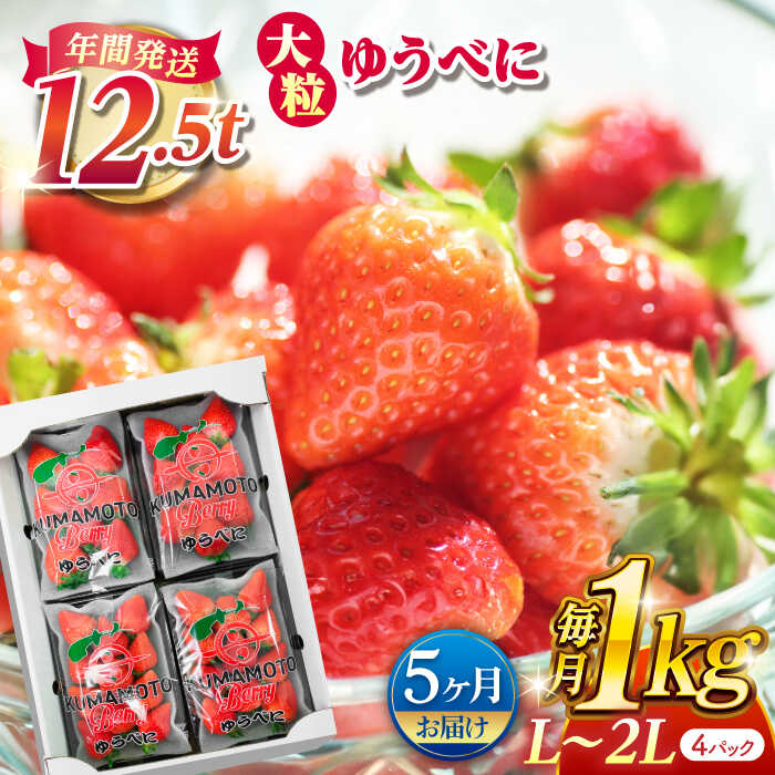 【5回定期便】大粒いちご L〜2L ゆうべに 1kg（4pc）【熊本ベリー】[ZER016]