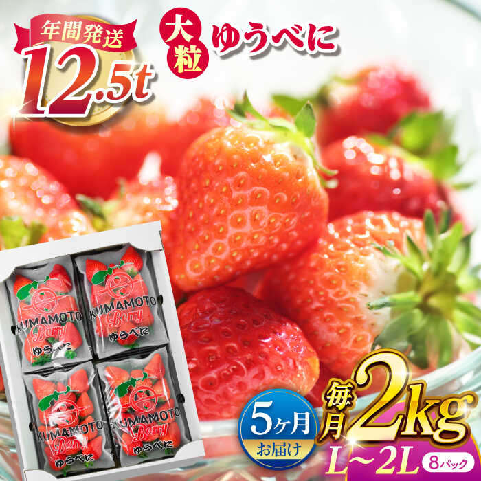 【先行予約】【5回定期便】大粒いちご L〜2L ゆうべに 2kg（8pc）【熊本ベリー】[ZER017]