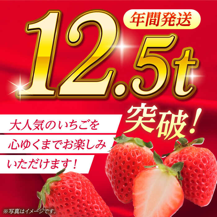 【ふるさと納税】【先行予約】【5回定期便】大粒いちご L〜2L ゆうべに 3kg（12pc）【熊本ベリー】[ZER018] サムネイル2