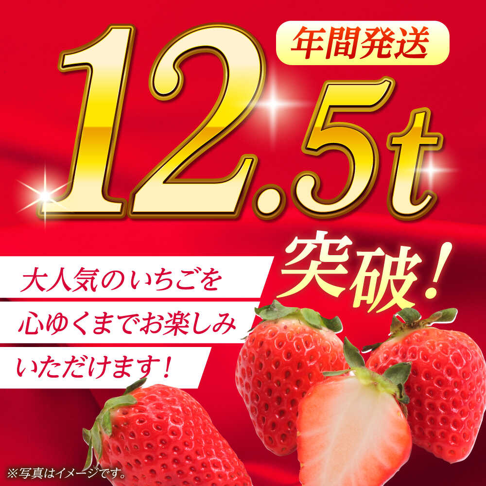 【ふるさと納税】《3月より発送開始》 【3回定期便】 いちご Mサイズ ゆうべに 2kg（8pc）【熊本ベリー】[ZER023] サムネイル2