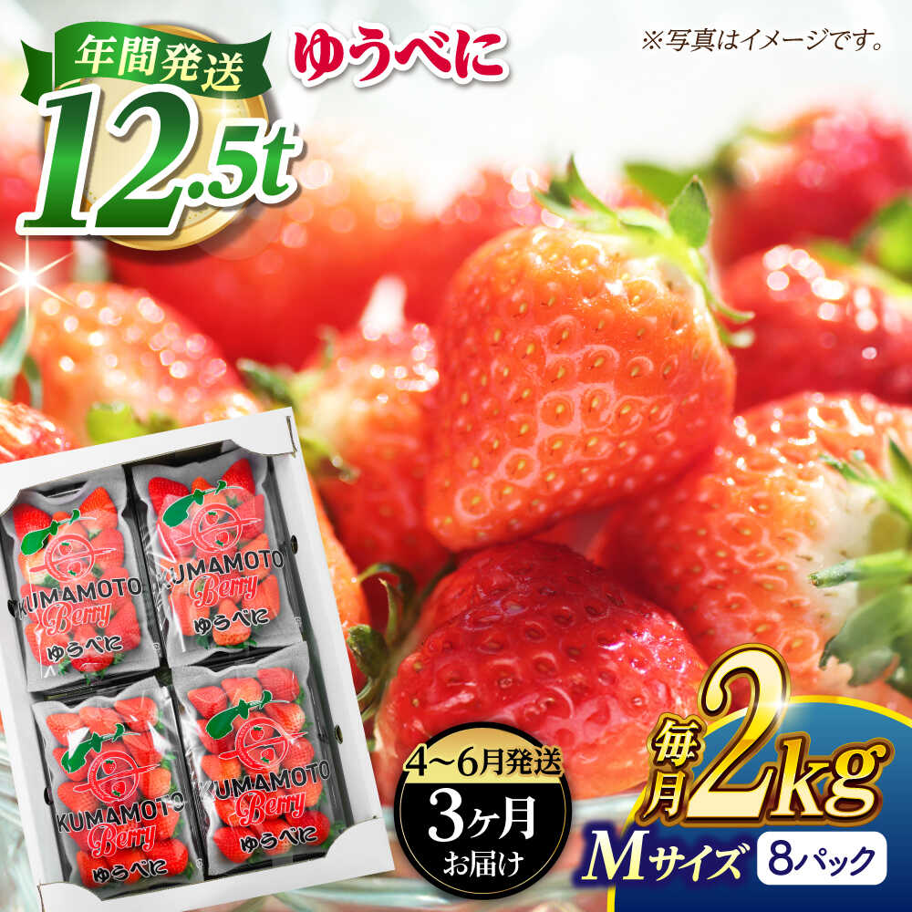 《3月より発送開始》 【3回定期便】 いちご Mサイズ ゆうべに 2kg（8pc）【熊本ベリー】[ZER023]