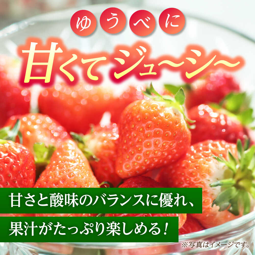 【ふるさと納税】《3月より発送開始》 【3回定期便】 いちご Mサイズ ゆうべに 3kg（12pc）【熊本ベリー】[ZER024] サムネイル3